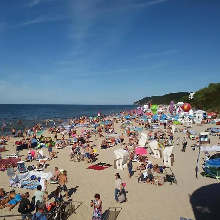 Near Wollin National Park