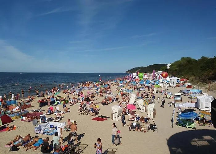 Near Wollin National Park